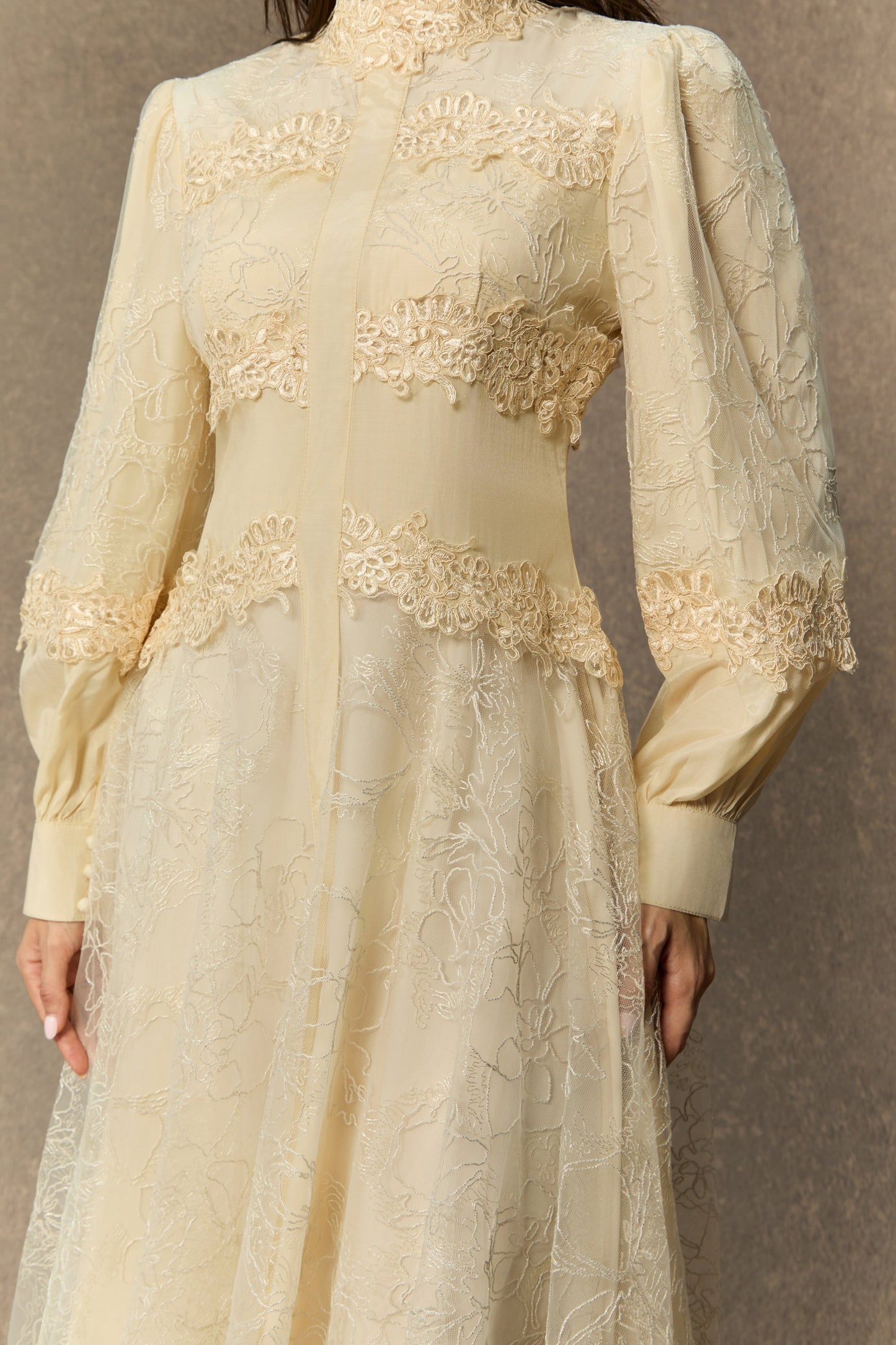 Naomi Elegant Beige Lace Embroidered Maxi Gown