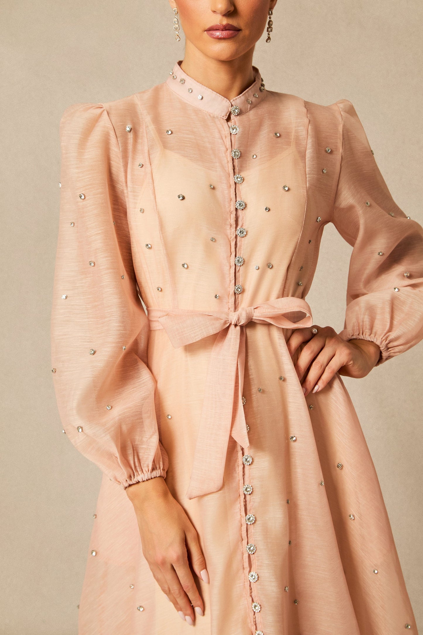 Zoe Beautiful Crystal Embellished Sheer Maxi Dress
