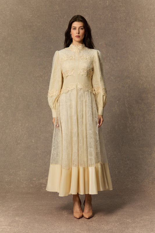 Naomi Elegant Beige Lace Embroidered Maxi Gown