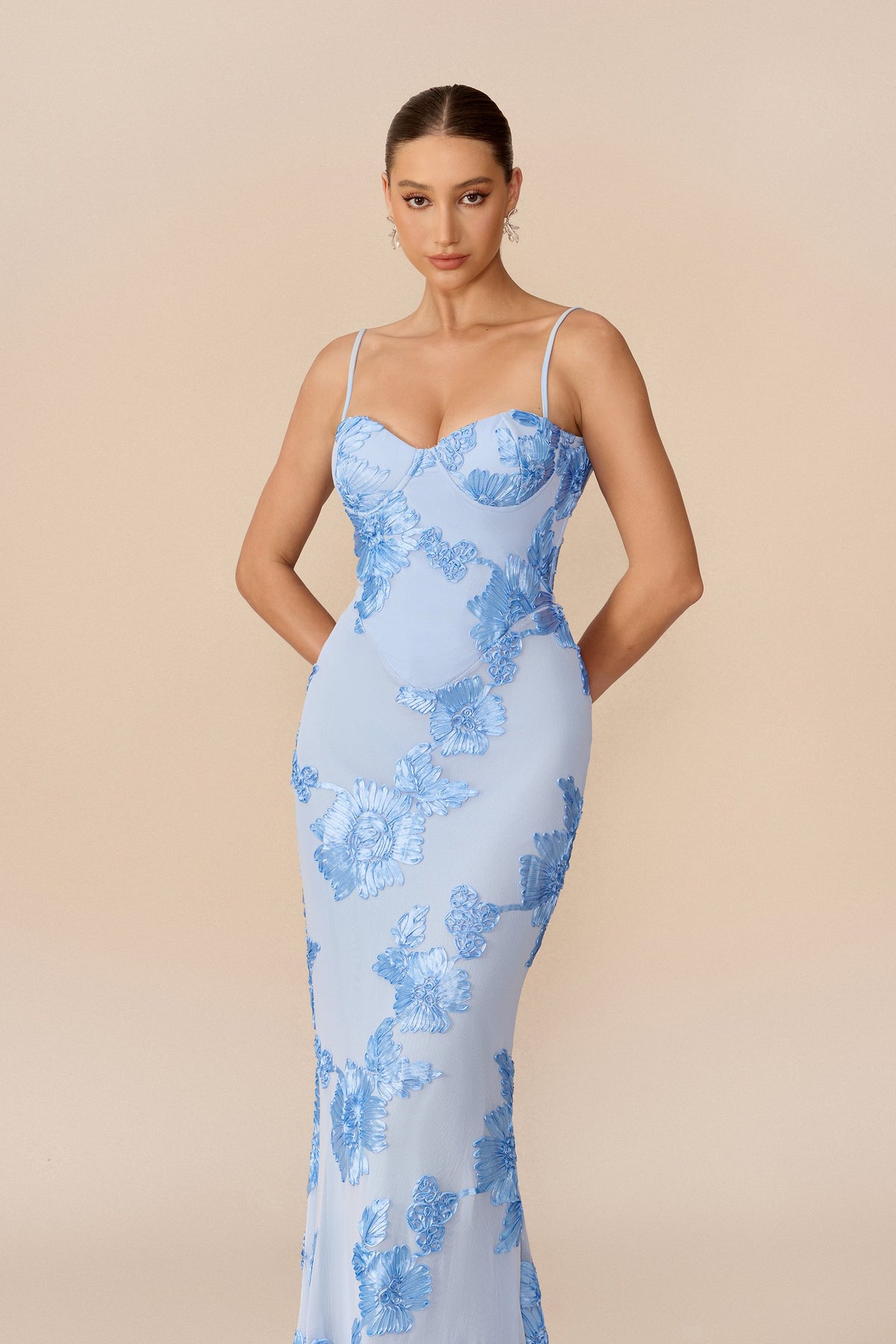 Blue Floral Embroidered Mesh Mermaid Maxi Dress