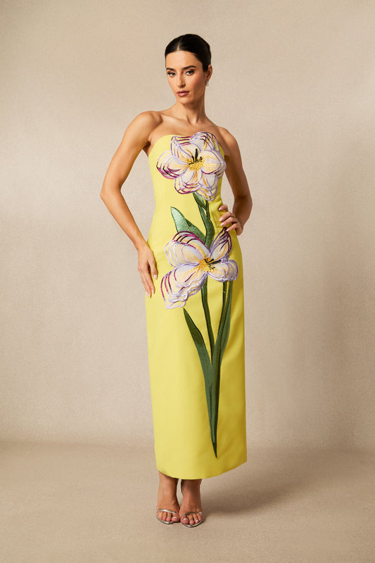Finn Floral Strapless Maxi Dress