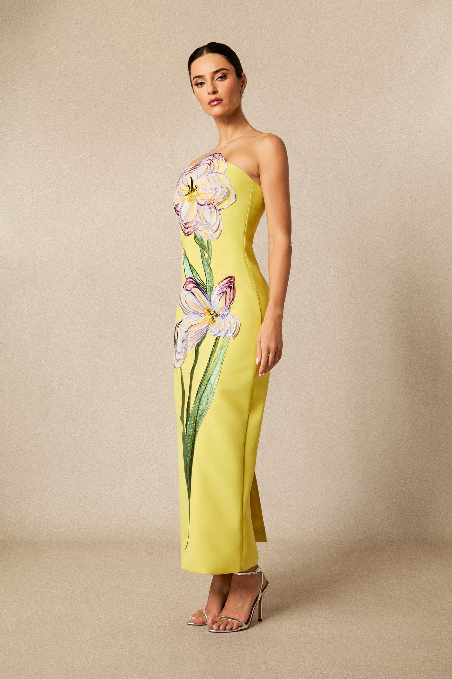 Finn Floral Strapless Maxi Dress