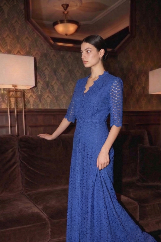 Lace A-Line Dress with Embroidery and Short Sleeves